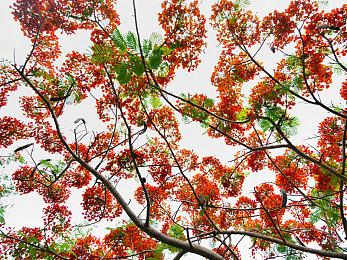 《索尼克：未知边境》偷跑 大量玩家开启直播疯狂剧透