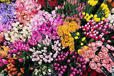 2K公布免费第三人称英雄射击游戏《Ethos计划》